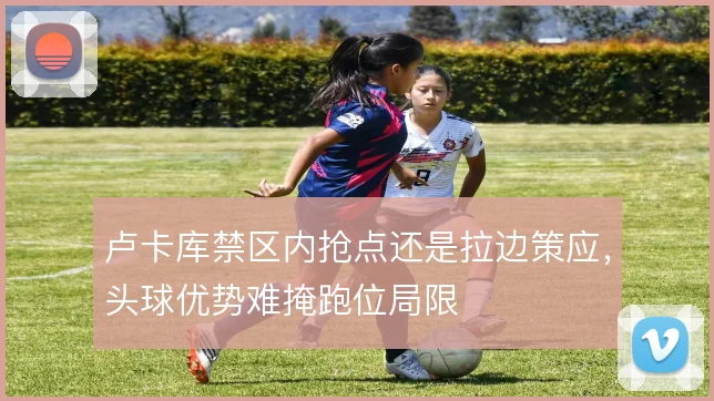 卢卡库禁区内抢点还是拉边策应，头球优势难掩跑位局限